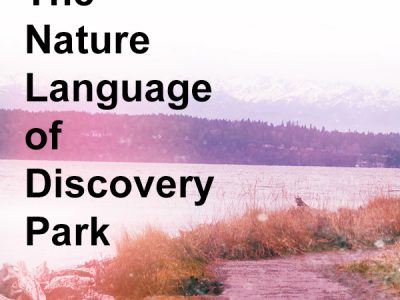 Nature Language Research